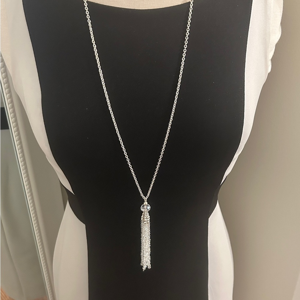 Silver and Crystals Tassel Long Necklace